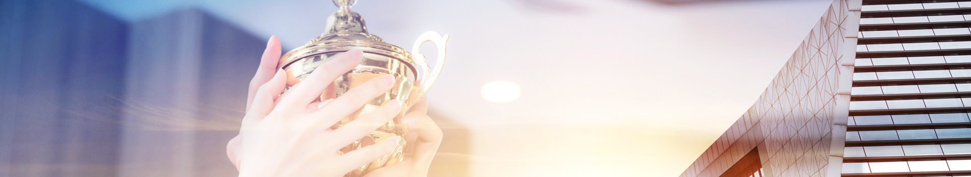 企業(yè)簡(jiǎn)介